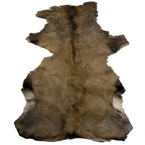 Traditional rug DEER SKIN Gie El plain / animal skin