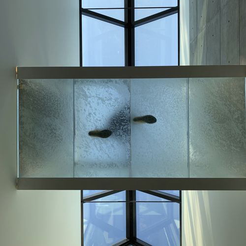 Glass flooring - ThinkGlass - indoor / outdoor / for step