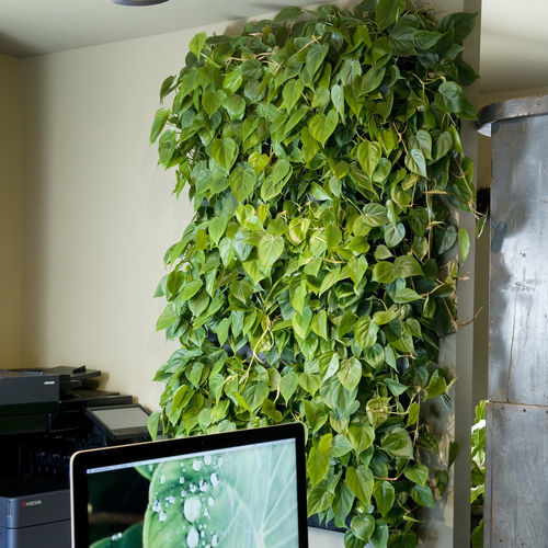 Green wall with live plants - LivePanel PACK - Mobilane - modular-panel ...