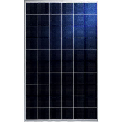 Polycrystalline PV panel - MIPRO III TP660P - Talesun Solar - colored / PID-free / with aluminum frame