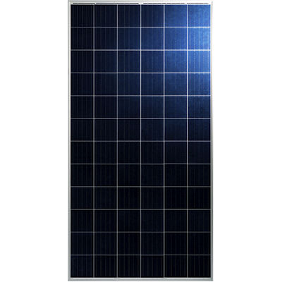 Polycrystalline PV panel - TP672P - Talesun Solar - colored / PID-free / with aluminum frame
