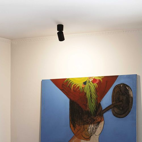 Ceiling-mounted spotlight - TOBY PL1 - Ideal Lux S.r.l.  - LED / round / IP20