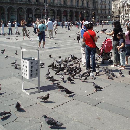 public trash can - CERVIC ENVIRONMENT