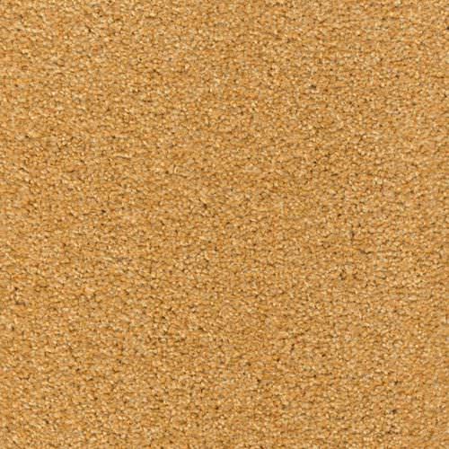 Tufted carpet - CARLTON - Anker-Teppichboden - polyamide / velvet / tertiary