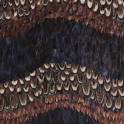 Interior wall-covering - PEACOCK &amp; PHEASANT PURPLE WAVE - KOKET Love Happens - feather / home