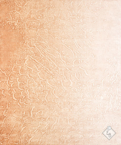 Ethnic rug - LOVINA ARIZONA - Edition Bougainville - patterned / silk / rectangular