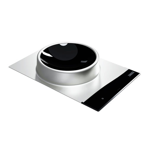 Induction wok - 600892 - ZANUSSI PROFESSIONAL - commercial / 1 burner / countertop