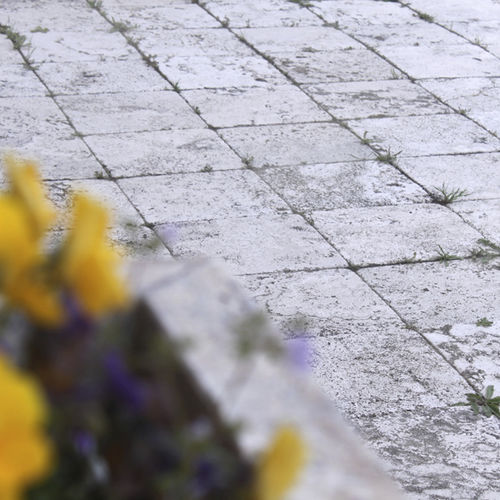 Travertine paving - MOSAICO - Arredo di Pietra srl - natural stone / outdoor / for entryways