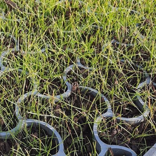 Recycled plastic grass grid - ECCODAL HD - ECCO PRODUCTS