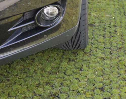Grass protection mesh - PROGRASS - Ritter GmbH