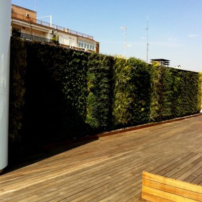 Green wall with live plants - PRIVATE PENTHOUSE - Paisajismo Urbano - modular-panel / natural / garden
