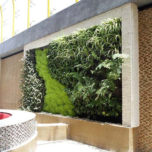 Green wall with live plants - GLOBOS ICE-CREAM SHOP, COCHABAMBA - Paisajismo Urbano - modular-panel / natural / in lichen