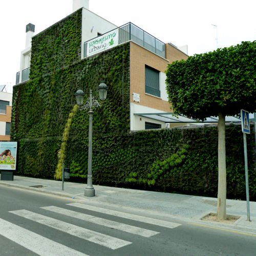 Green wall with live plants - VALENCIA - Paisajismo Urbano - modular-panel / natural / moss
