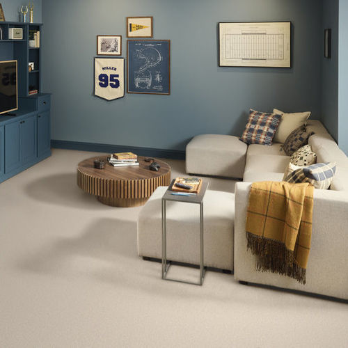 Cut pile carpet - PURE COMFORT II - Shaw floors - nylon / commercial / contract