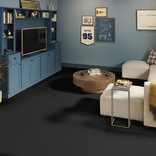 Cut pile carpet - PURE COMFORT I - Shaw floors - nylon / commercial / plain