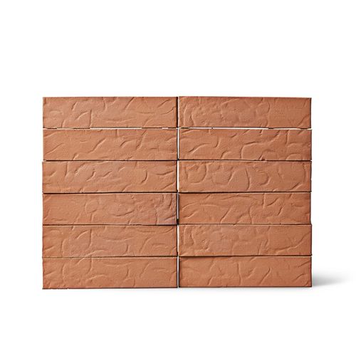 Wall-mounted brick - 1.2.05 RED WORM TEXTURE - Egernsunder Ziegel GmbH  - hollow / embossed