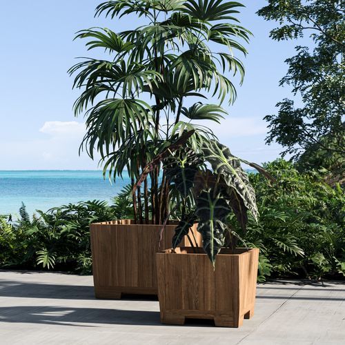 Teak planter - BOTANIQ   - Royal Botania - square / contemporary / beige