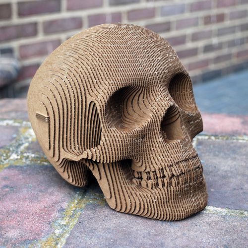 Cardboard sculpture - VINCE HUMAN SKULL - cardboard safari - outdoor