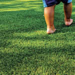 synthetic grass
