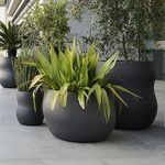 concrete planter
