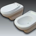 wall-hung toilet