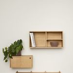 wall-mounted shelf