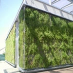 outdoor green wall