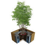 wooden tree guard