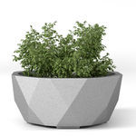 concrete planter