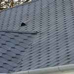 Euroclass E shingle