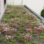 protection waterproofing membrane