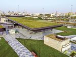 intensive green roof system