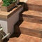 step coveringNovaBell