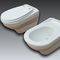wall-hung toiletNEW SEAT 2WATERGAME COMPANY