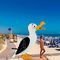 beach outdoor showerST GAIVOTA CHUVVeco Urban Design
