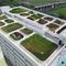 protection waterproofing membraneALKORPLAN RENOLIT ALKORPLAN