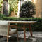 contemporary dining tableCURVEPoliform