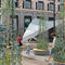 concrete planterHOCHGERANKTCITY DECKS