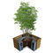 wooden tree guardTYPE 1500-900ACO