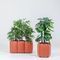wooden plant potBuzziChicle BuzziSpace