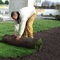 extensive green roofID MAT®  LE PRIEURE