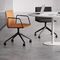 contemporary office chairSTAMPSEGIS
