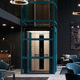 electric elevator cabin / commercial / home / panoramic