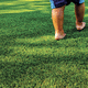 synthetic grass / roll / for public spaces / for garden