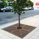 square tree grate
