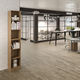 contemporary shelf / wooden / commercial