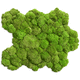 preserved living frame / moss / natural / indoor