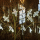 outdoor sculpture / hanging / for public space / white