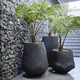 concrete planter / round / contemporary / outdoor
