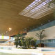 wooden suspended ceiling / stone wool / strip / acoustic